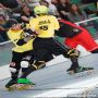 20140517_18-17-33_IMG_4441